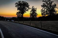 Drei Bäume im Sonnenuntergang
