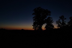 Sunset 3 Trees