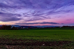 IMG_20221119_164603