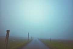 Nebel über dem Feld