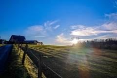 Sonne über einem Feld
